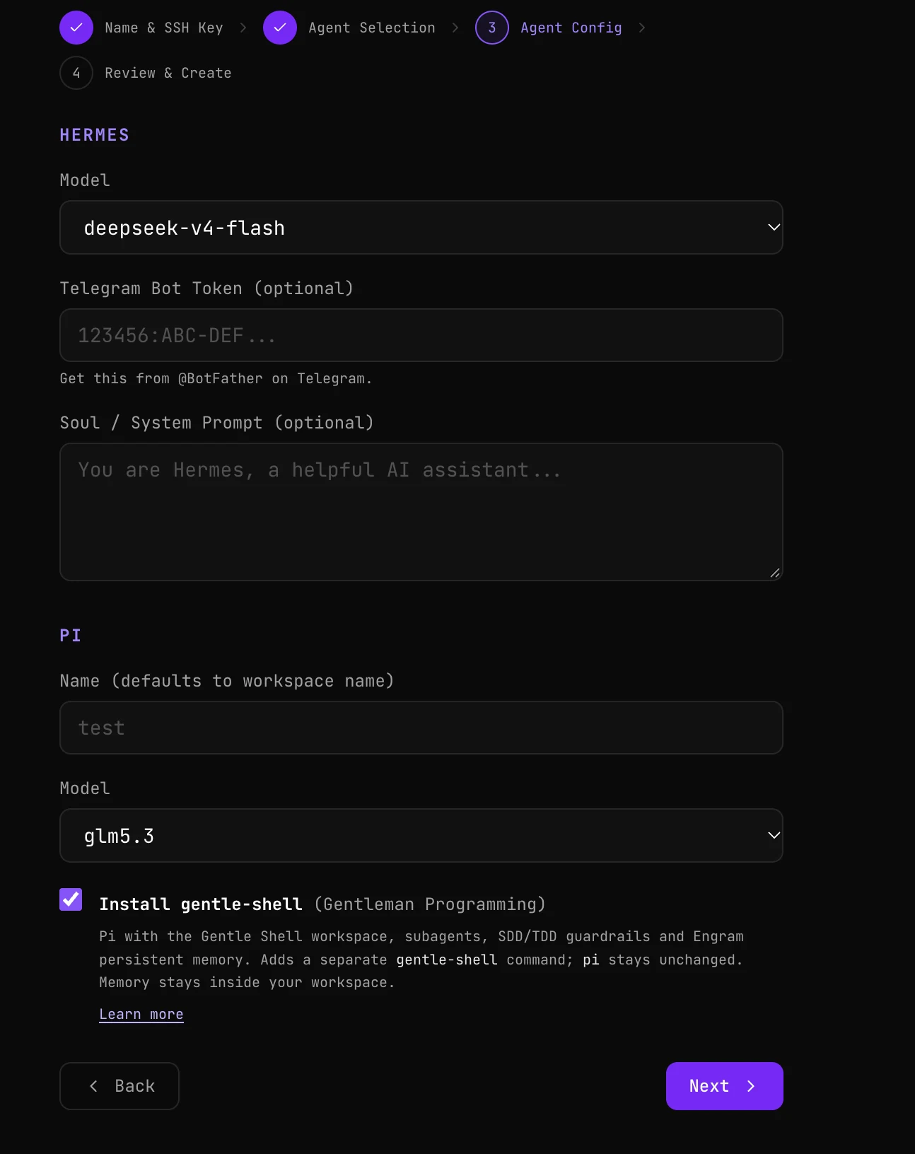 Step 3 of the create wizard: Hermes model, Telegram bot token and soul fields, and Pi name, model and the Install gentle-shell option