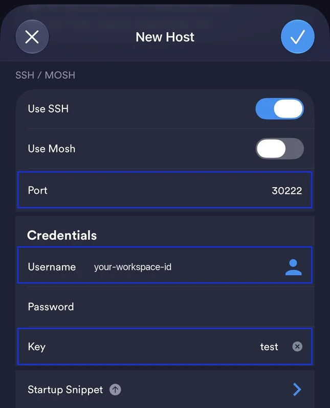 Termius New Host form with Use SSH on, Use Mosh off, port 30222, the username and the key selected