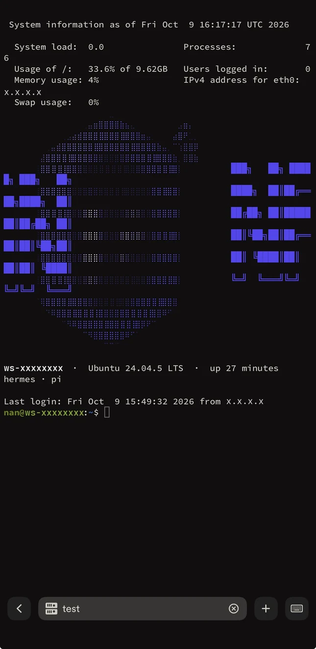 Terminal on the phone connected to a workspace, showing the welcome screen and the prompt